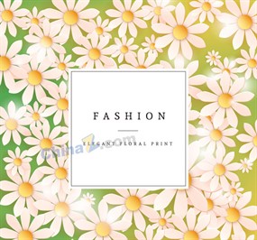 白色雏菊花朵卡片矢量素材